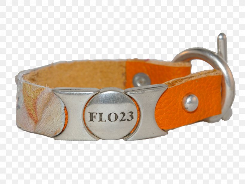 Dog Collar Clothing Accessories, PNG, 880x660px, Dog, Clothing Accessories, Collar, Dog Collar, Fashion Download Free
