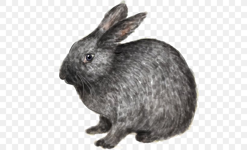 Domestic Rabbit Hare European Rabbit Image, PNG, 500x500px, Domestic Rabbit, Ear, European Rabbit, Fauna, Fur Download Free