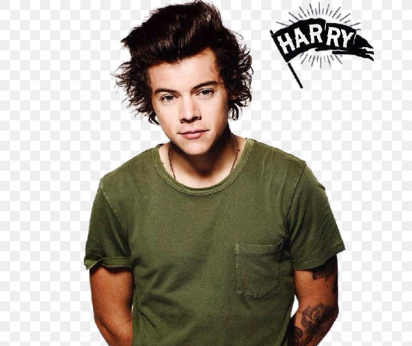 Harry Styles One Direction Four, PNG, 668x689px, Watercolor, Cartoon, Flower, Frame, Heart Download Free
