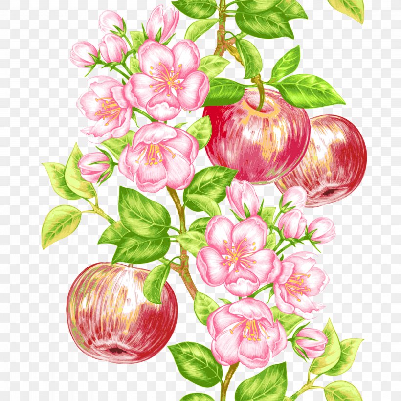 Apple Fruit Tree Icon, PNG, 4000x4000px, Tree, Apple, Blossom, Branch, Cut Flowers Download Free