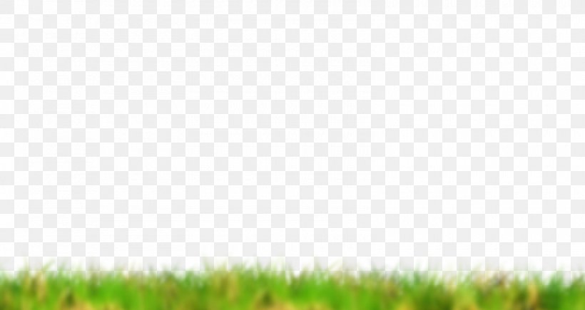 Crop Lawn Grassland Green Grasses, PNG, 1600x850px, Crop, Agriculture, Commodity, Computer, Field Download Free