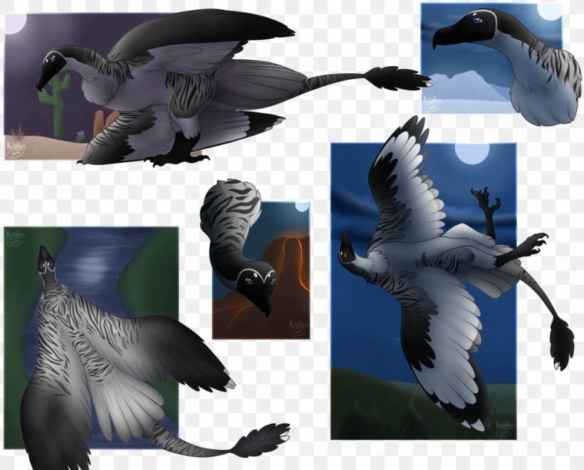 Beak Fauna Feather, PNG, 996x802px, Beak, Bird, Fauna, Feather, Wing Download Free