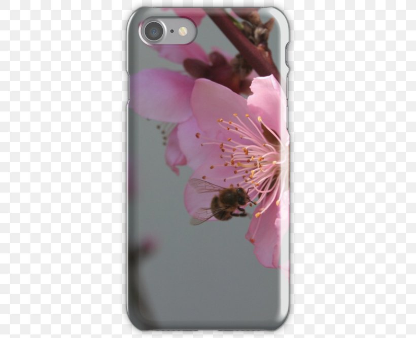 Cherry Blossom Pink M Petal Flower, PNG, 500x667px, Blossom, Butterfly, Cherry, Cherry Blossom, Flower Download Free