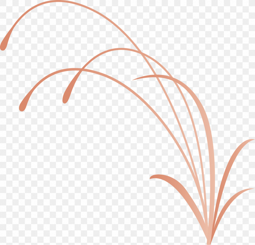 Flower Frame Decoration Frame, PNG, 3000x2881px, Flower Frame, Decoration Frame, Leaf, Line Download Free