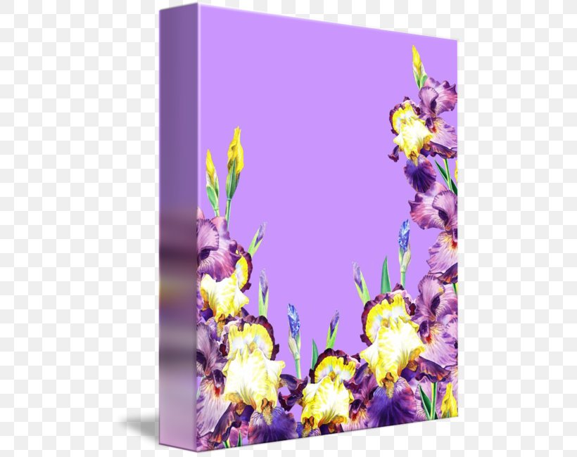 Lavender Canvas Gallery Wrap Picture Frames Violet, PNG, 494x650px, Lavender, Art, Canvas, Floater, Flora Download Free