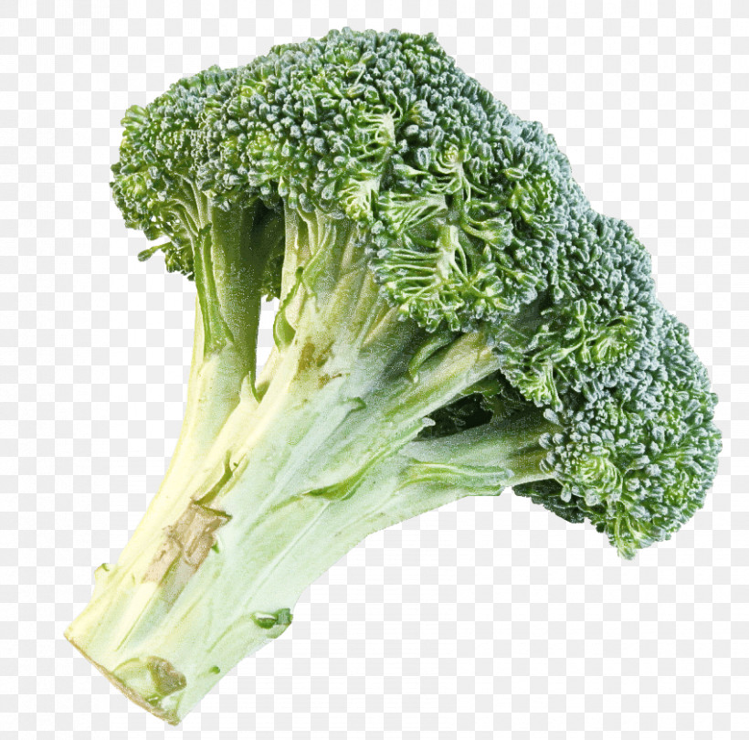 Leaf Vegetable Romaine Lettuce Vegetable Rapini Broccoli, PNG, 850x840px, Leaf Vegetable, Broccoli, Rapini, Romaine Lettuce, Spring Download Free