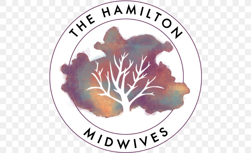 The Hamilton Midwives Childbirth Midwife Health Care, PNG, 500x500px, Childbirth, Flower, Hamilton, Health, Health Care Download Free