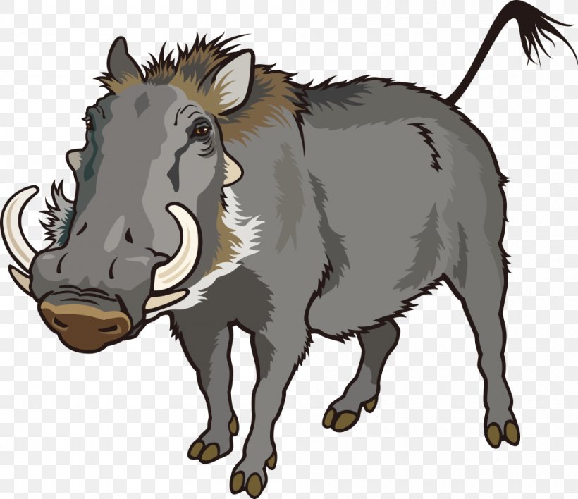 Common Warthog Can Stock Photo Clip Art, PNG, 1000x864px, Common Warthog, Bull, Can Stock Photo, Cartoon, Cattle Like Mammal Download Free