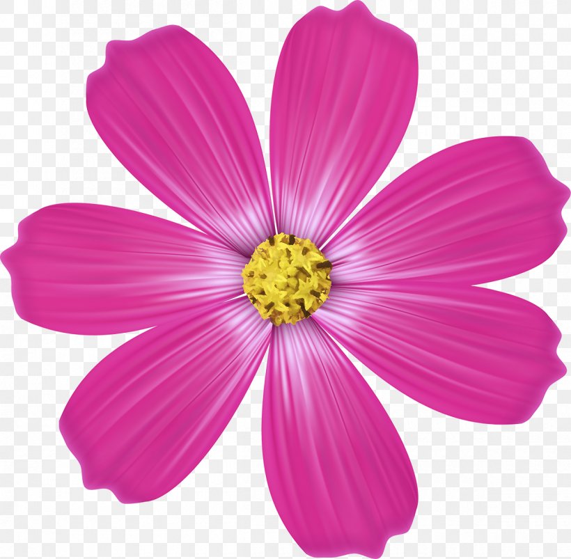Garden Cosmos Pink M Annual Plant Herbaceous Plant RTV Pink, PNG, 1200x1176px, Garden Cosmos, Annual Plant, Cosmos, Daisy Family, Flower Download Free