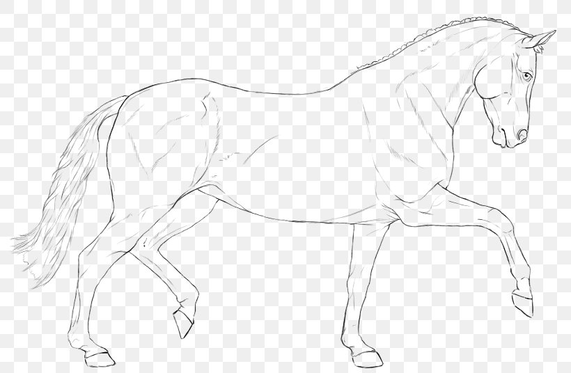 Mane Bridle Mustang Stallion Halter, PNG, 803x536px, Mane, Animal Figure, Arm, Artwork, Black And White Download Free
