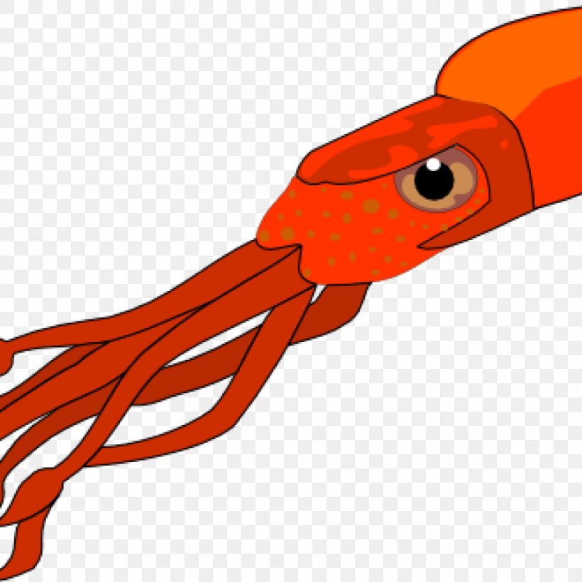 Squid As Food Clip Art Free Content, PNG, 1024x1024px, Squid, Cephalopod, Cuttlefishes, Fish, Giant Squid Download Free