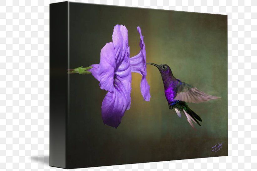 Hummingbird Canvas Print Work Of Art, PNG, 650x547px, Hummingbird, Art, Bird, Canvas, Canvas Print Download Free