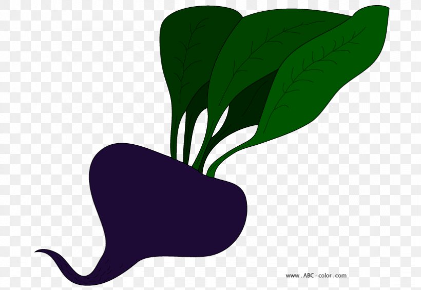 Leaf Plant Stem Clip Art, PNG, 822x567px, Leaf, Flora, Grass, Organism, Plant Download Free