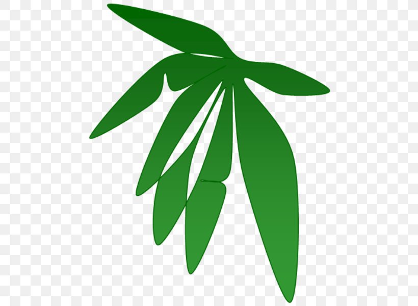 Leaf Plant Stem Font, PNG, 477x600px, Leaf, Grass, Plant, Plant Stem, Tree Download Free