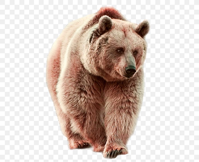 Clip Art Polar Bear Image, PNG, 480x670px, Bear, Animal, Animal Figure, Brown Bear, Carnivore Download Free