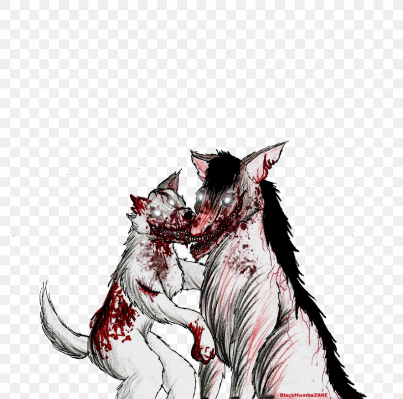 Whiskers Cat Dog Drawing, PNG, 898x890px, Whiskers, Art, Blood, Canidae, Carnivoran Download Free