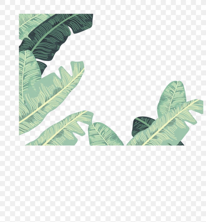 Banana Leaf Euclidean Vector, PNG, 1174x1265px, Banana, Banana Leaf, Flower, Grass, Green Download Free