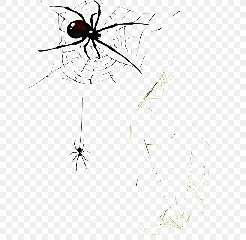 Cartoon Spider, PNG, 633x800px, Mosquito, Blackandwhite, Cartoon, Drawing, Eye Download Free