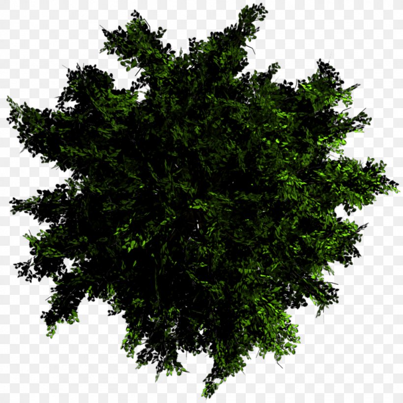 Gondomar, Portugal Texture Mapping Tree Alpha Mapping, PNG, 1024x1024px, Gondomar Portugal, Alpha Channel, Alpha Mapping, Architecture, Blender Download Free