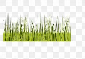 Green GRASS GIS Euclidean Vector, PNG, 2362x591px, Green, Commodity ...