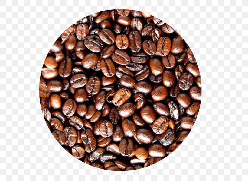Coffee Bean Tea Espresso Cafe, PNG, 600x600px, Coffee, Bean, Cafe, Cocoa Bean, Coffee Bean Download Free