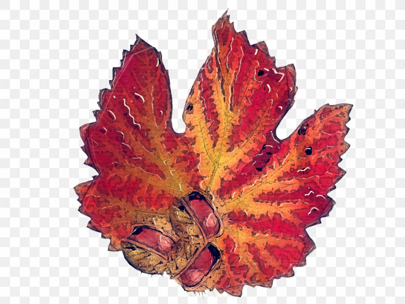 Autumn Leaf Blog Deciduous Season, PNG, 960x720px, Autumn, Blog, Chestnut, Deciduous, Flower Download Free