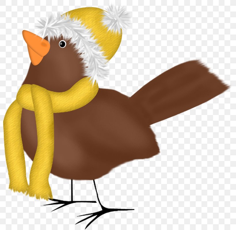 Chicken Bird Duck Hat Clip Art, PNG, 798x800px, Chicken, Animal, Beak, Bird, Blog Download Free