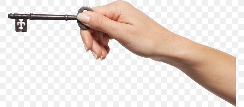 Key Clip Art, PNG, 768x360px, Key, Finger, Hand, Stock Photography, Tool Download Free