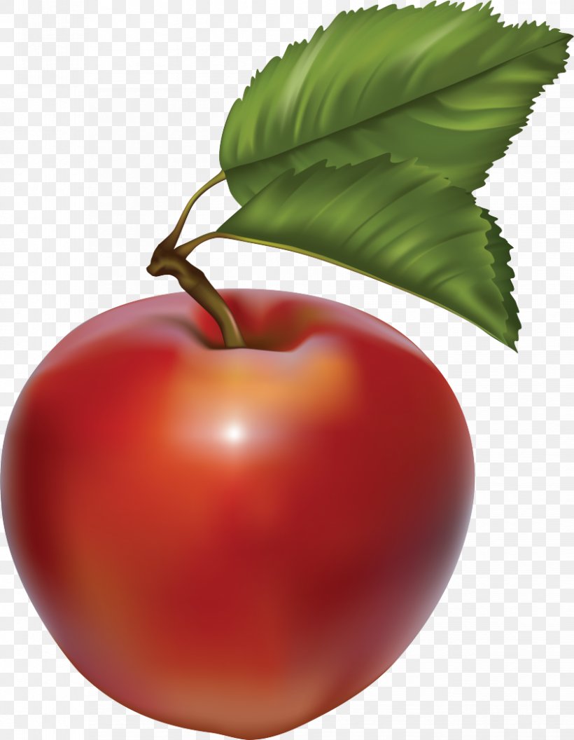 Vector Graphics Fruit Apple Clip Art, PNG, 838x1080px, Fruit, Acerola, Apple, Bush Tomato, Cherries Download Free