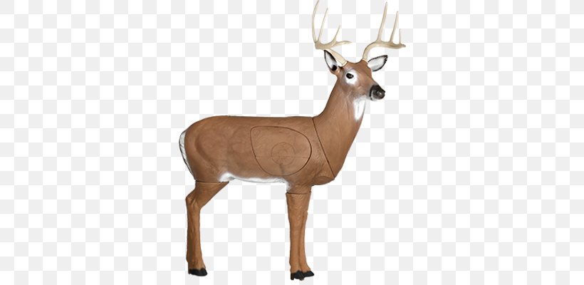 White-tailed Deer Hunting Target Archery, PNG, 400x400px, Deer, Antler, Archery, Biggame Hunting, Bow And Arrow Download Free