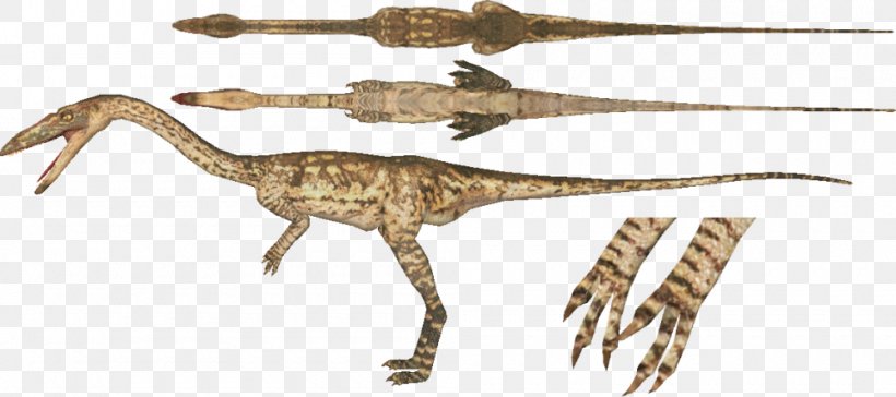 Zoo Tycoon 2 Velociraptor Coelophysis Torosaurus Brachiosaurus, PNG, 1000x445px, Zoo Tycoon 2, Animal Figure, Animatronics, Ankylosaurus, Beak Download Free