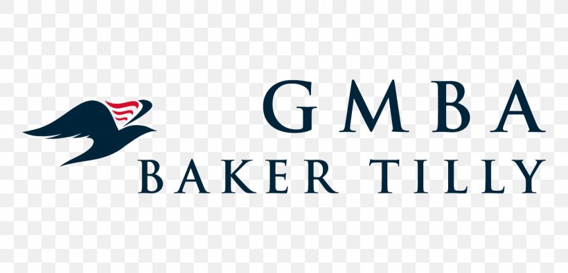Baker Tilly Virchow Krause, LLP Accounting Baker Tilly International Business Revenue, PNG, 1346x650px, Accounting, Accountant, Audit, Baker Tilly Dhc, Baker Tilly International Download Free