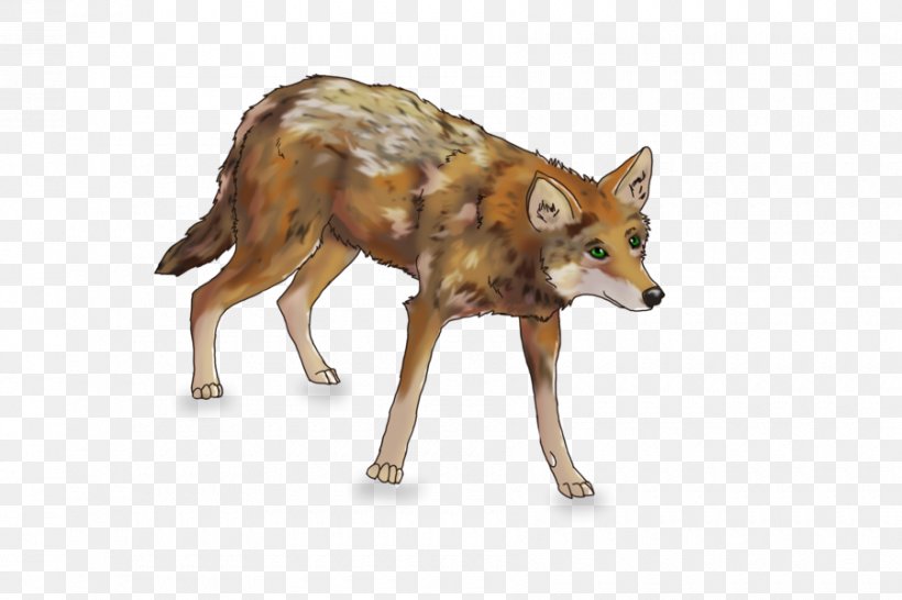 Jackal Gray Wolf Coyote Red Fox Red Wolf, PNG, 900x600px, Jackal, Animal, Art, Carnivoran, Coyote Download Free