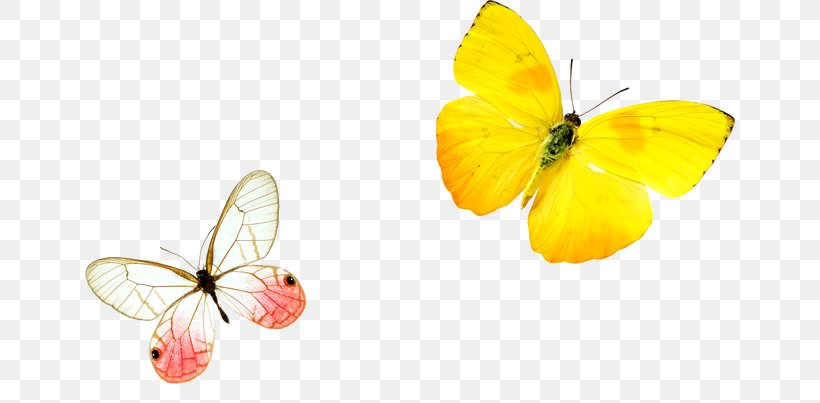 Monarch Butterfly Yellow, PNG, 650x403px, Butterfly, Animation, Brush Footed Butterfly, Butterflies And Moths, Butterfly Effect Download Free