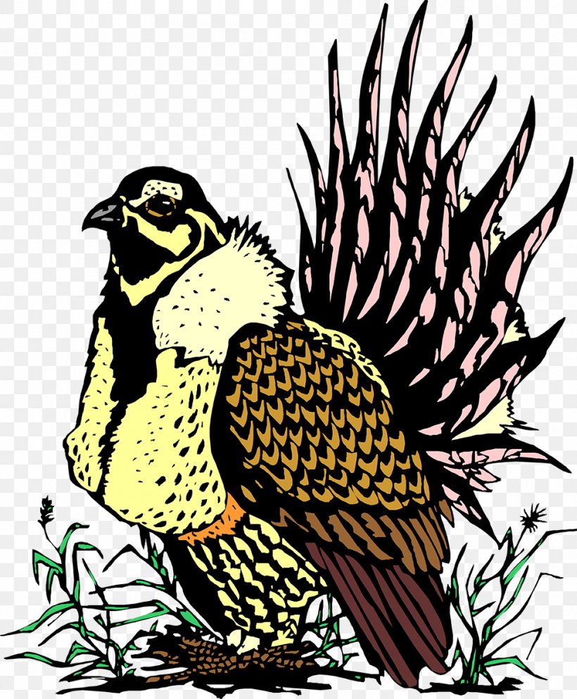 Owl Galliformes Beak Hawk, PNG, 990x1200px, Owl, Art, Beak, Bird, Bird Of Prey Download Free