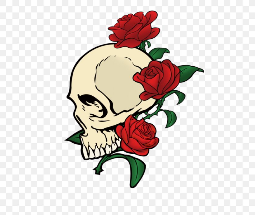 Rose Drawing Skull Clip Art, PNG, 518x690px, Watercolor, Cartoon, Flower, Frame, Heart Download Free