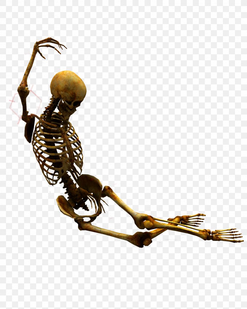 Skeleton At The 2018 Winter Olympics, PNG, 1600x2000px, Skeleton, Adobe Premiere Pro, Body Jewelry, Bone, Computer Software Download Free