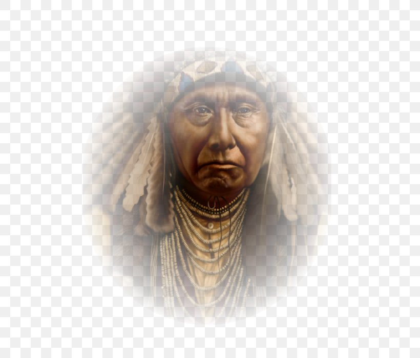 Chief Joseph Jaw, PNG, 600x700px, Chief Joseph, Facial Hair, Head, Jaw, Neck Download Free