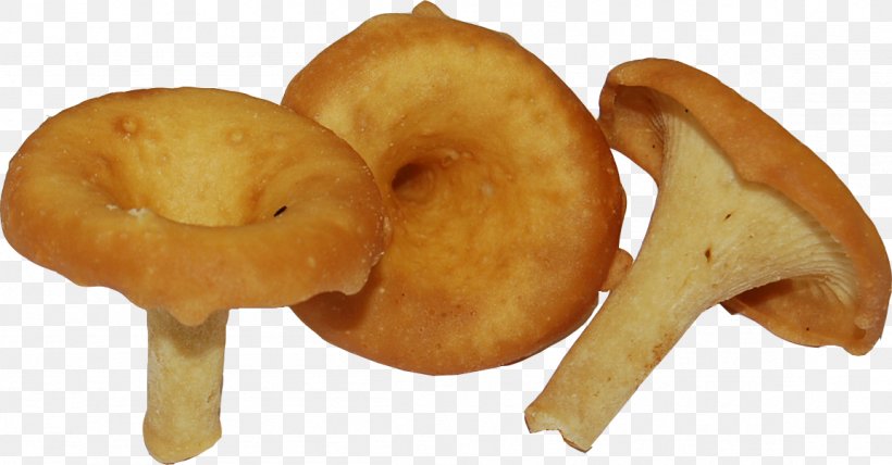 Food Chanterelle Groat Mushroom Condensed Milk, PNG, 1153x602px, Food, Ahi, Bagel, Biscuits, Canning Download Free