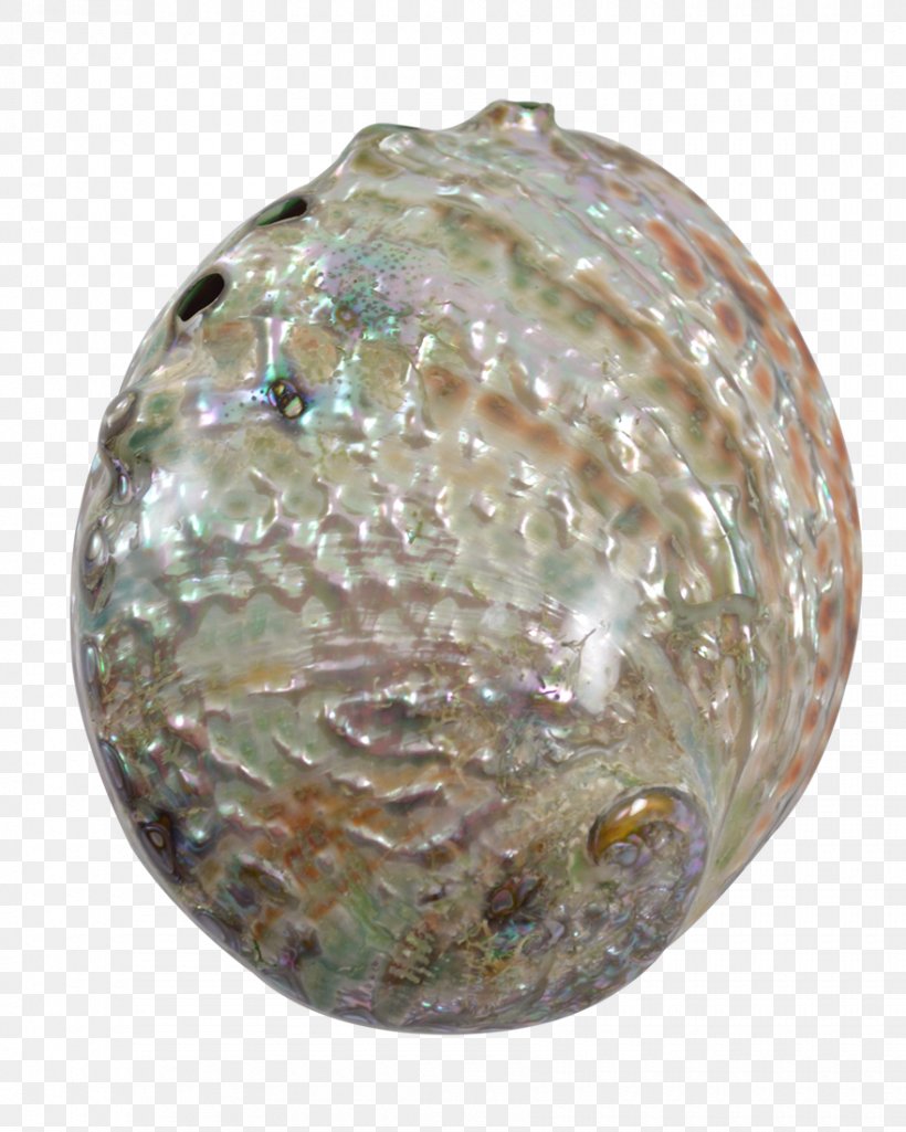 Abalone Gemstone Seashell Christmas Ornament Jewelry Design, PNG, 880x1100px, Abalone, Christmas, Christmas Ornament, Gemstone, Glass Download Free