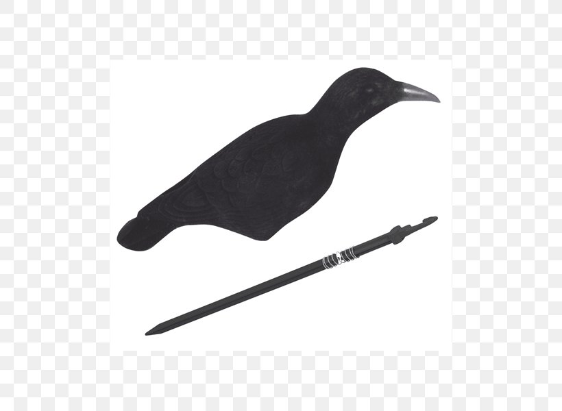 Bird Flocking Magpie Feather Beak, PNG, 500x600px, Bird, Beak, Black, Coloring Book, Crow Download Free