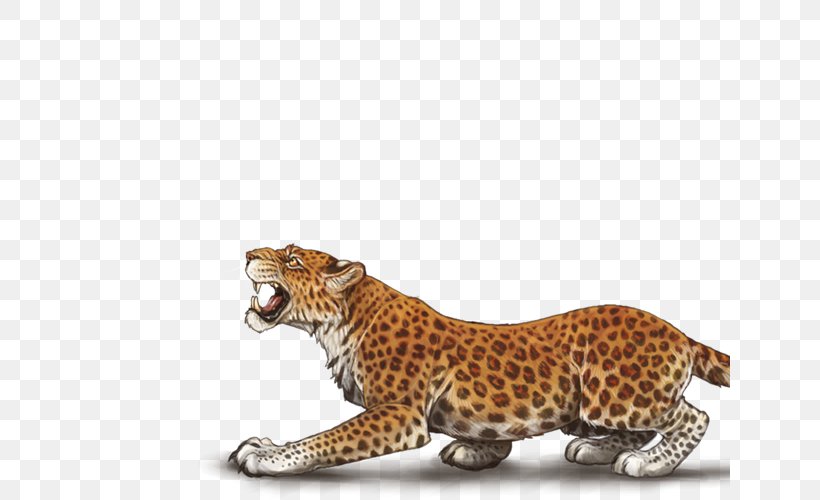 Cheetah Leopard Jaguar Cat Terrestrial Animal, PNG, 640x500px, Cheetah, Animal, Big Cats, Carnivoran, Cat Download Free