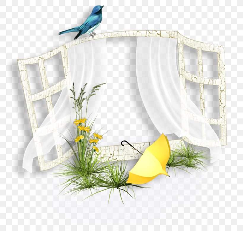 White Flower, PNG, 800x780px, Blog, Atlantic Canary, Bird, Fence, Finch Download Free