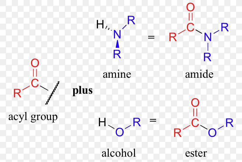 Amine Amide Acyl Group Functional Group Chemistry, PNG, 780x548px, Amine, Acetyl Group, Acid, Acyl Group, Alkyne Download Free