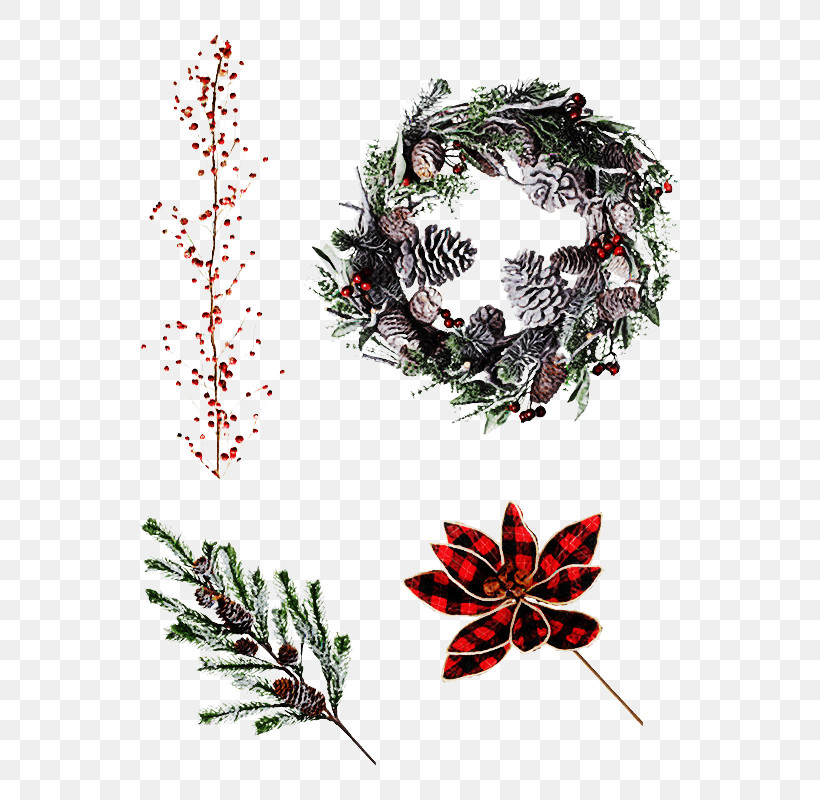 Christmas Decoration, PNG, 658x800px, Christmas Decoration, Flower, Holly, Interior Design, Oregon Pine Download Free