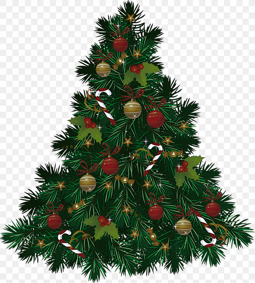 Christmas Tree, PNG, 2698x3000px, Christmas Tree, American Larch, Branch, Christmas, Christmas Decoration Download Free