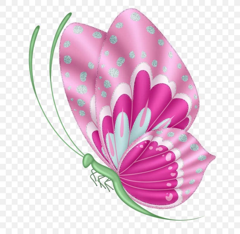 Butterfly Insect Clip Art, PNG, 726x800px, Watercolor, Cartoon, Flower, Frame, Heart Download Free