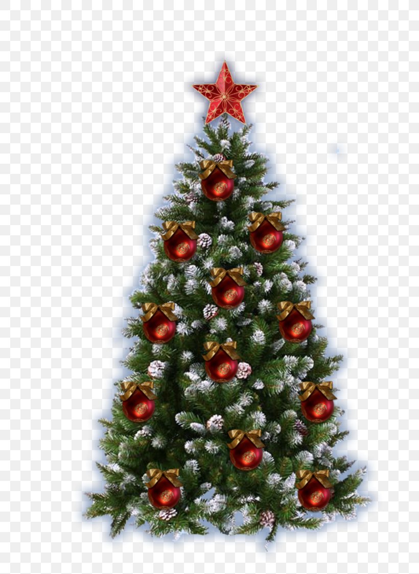 Christmas Tree Picture Frames New Year, PNG, 800x1122px, Christmas, Child, Christmas And Holiday Season, Christmas Decoration, Christmas Ornament Download Free