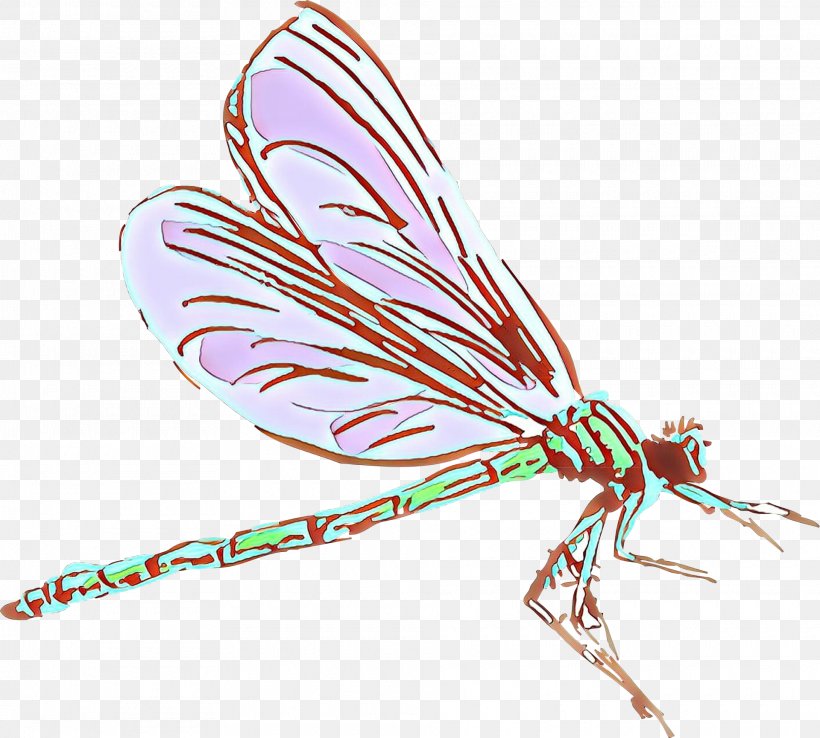 Feather, PNG, 1920x1730px, Cartoon, Damselfly, Dragonflies And Damseflies, Feather, Fly Download Free