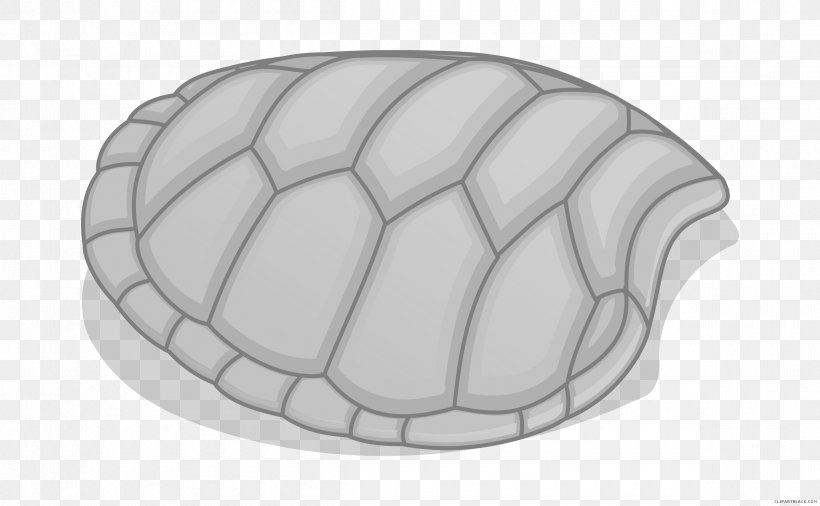 Green Sea Turtle Reptile Clip Art, PNG, 2400x1481px, Turtle, Black And White, Drawing, Green Sea Turtle, Loggerhead Sea Turtle Download Free